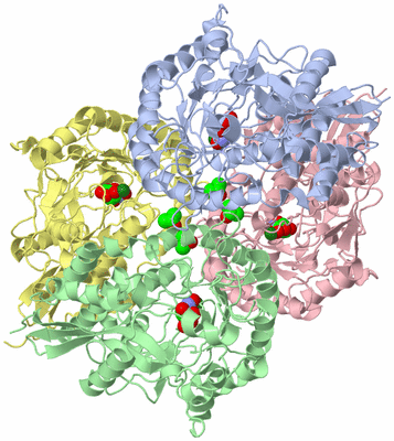 Image Asym./Biol. Unit