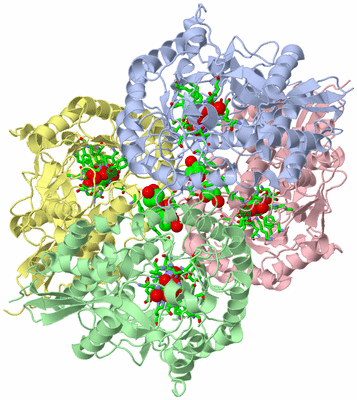 Image Asym./Biol. Unit - sites