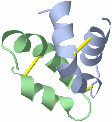 Image NMR Structure - model 1