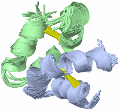 Image NMR Structure - all models
