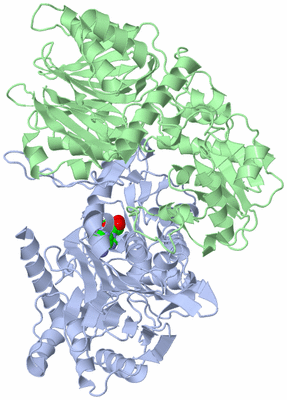 Image Biological Unit 1