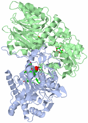 Image Biol. Unit 1 - sites