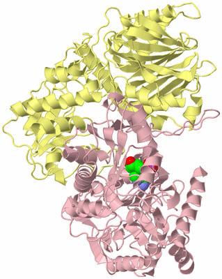 Image Biological Unit 2