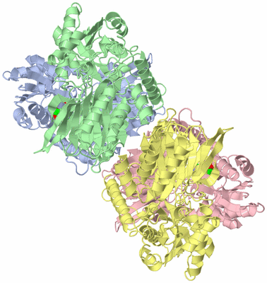 Image Biological Unit 3