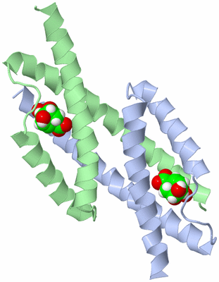 Image Asymmetric Unit