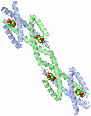 Image Biological Unit 1