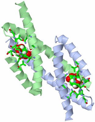 Image Asym. Unit - sites