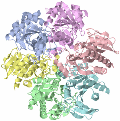 Image Asym./Biol. Unit