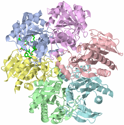 Image Asym./Biol. Unit - sites