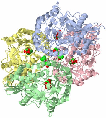 Image Asym./Biol. Unit