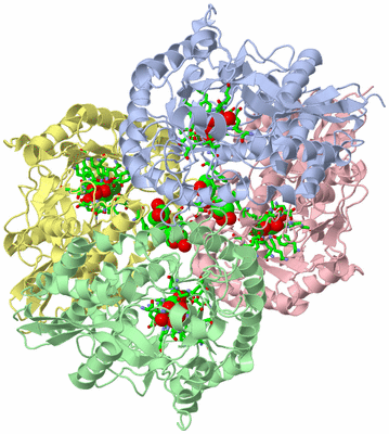 Image Asym./Biol. Unit - sites