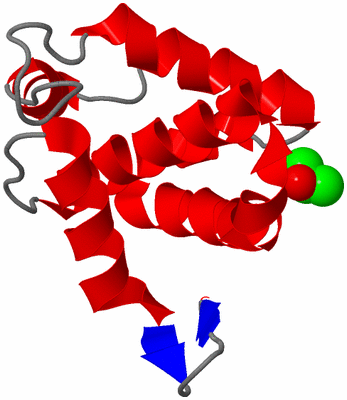 Image Asymmetric Unit