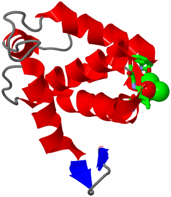Image Asym. Unit - sites