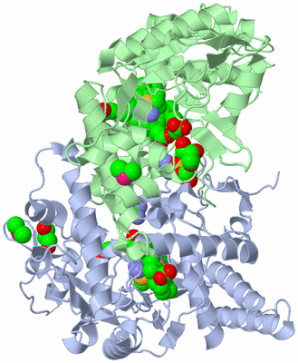 Image Asym./Biol. Unit