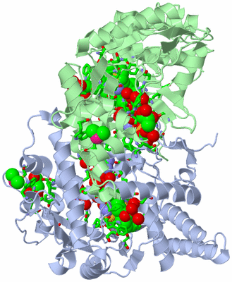 Image Asym./Biol. Unit - sites