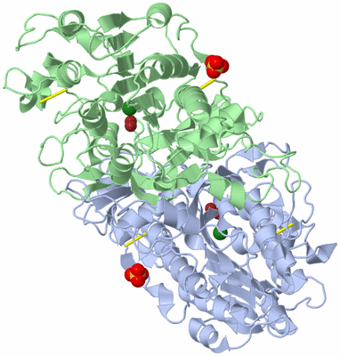 Image Asym./Biol. Unit