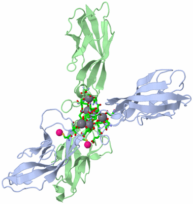 Image Asym./Biol. Unit - sites