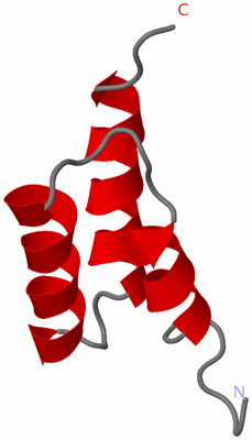 Image NMR Structure - model 1