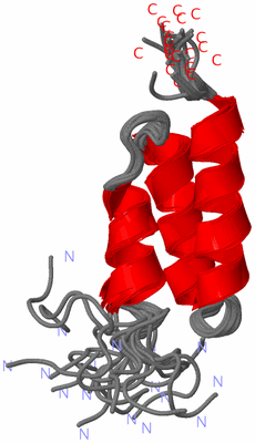 Image NMR Structure - all models