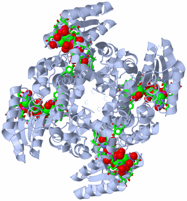 Image Biol. Unit 1 - sites