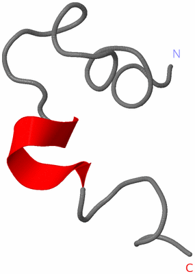 Image NMR Structure - model 1