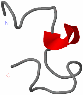 Image NMR Structure - model 1