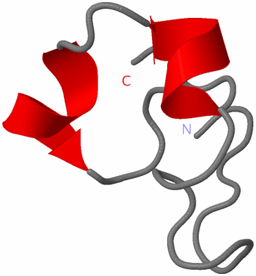 Image NMR Structure - model 1