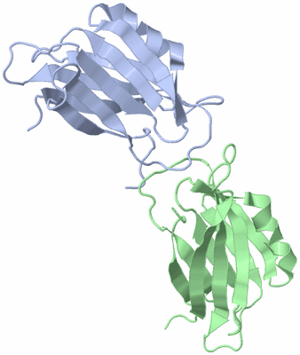 Image Asymmetric Unit