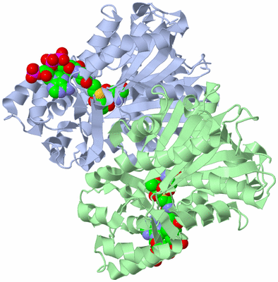 Image Asym./Biol. Unit