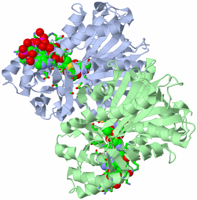 Image Asym./Biol. Unit - sites