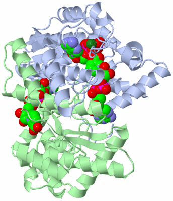 Image Asym./Biol. Unit