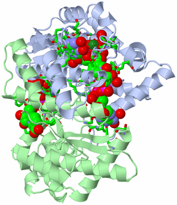 Image Asym./Biol. Unit - sites