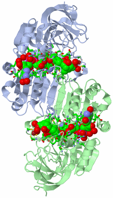 Image Asym./Biol. Unit - sites