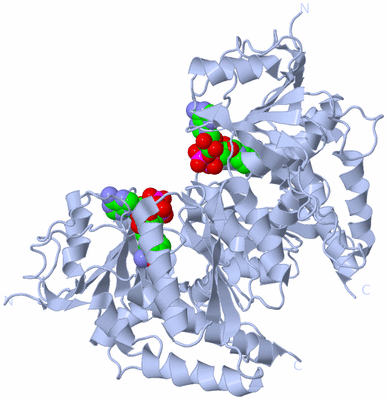 Image Biological Unit 1