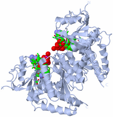 Image Biol. Unit 1 - sites