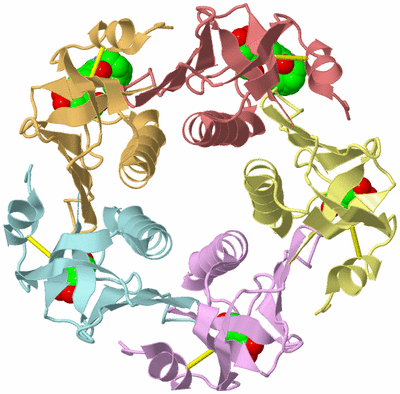 Image Biological Unit 1