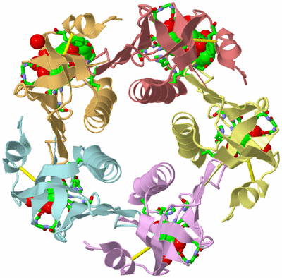 Image Biol. Unit 1 - sites