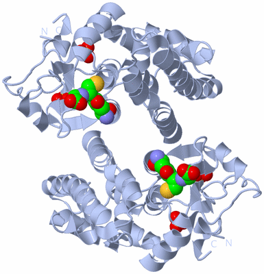 Image Biological Unit 1