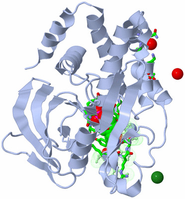 Image Asym./Biol. Unit - sites