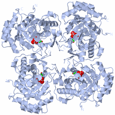 Image Biol. Unit 1 - sites