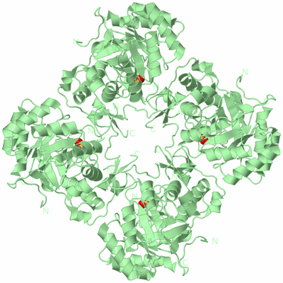 Image Biological Unit 2