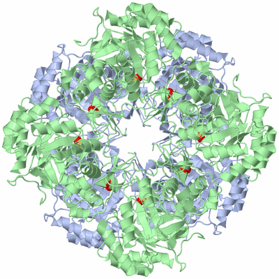 Image Biological Unit 3