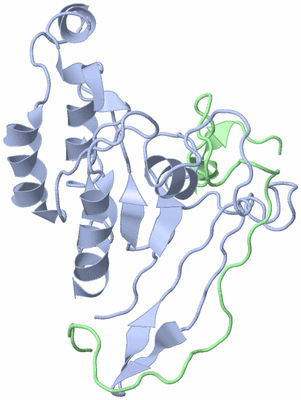 Image NMR Structure - model 1