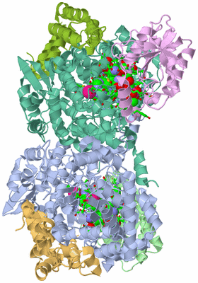 Image Asym./Biol. Unit - sites