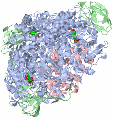 Image Biological Unit 1