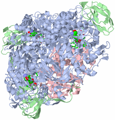 Image Biol. Unit 1 - sites