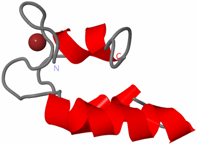 Image NMR Structure - model 1