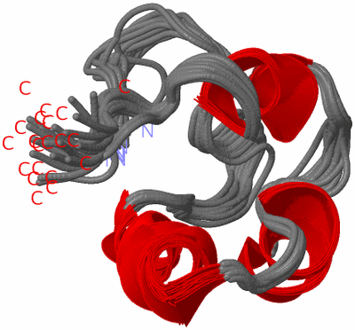 Image NMR Structure - all models