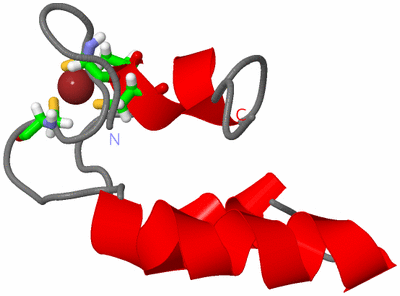 Image NMR Structure - model 1, sites