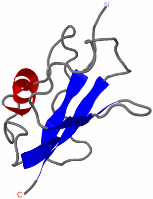 Image NMR Structure - all models